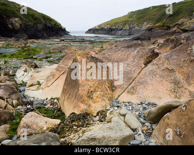 La plage à marée basse révèle un estran rocheux à Port Quin North Cornwall UK Banque D'Images