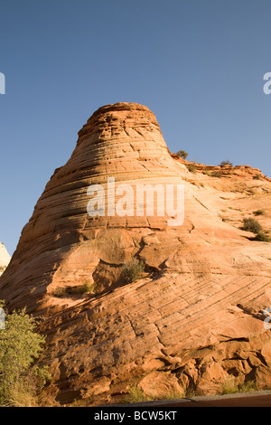 Formations de grès Navajo, Zion National Park, États-Unis Banque D'Images