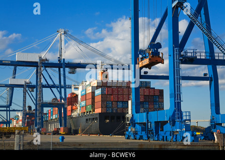 Wagon porte-conteneurs navire à un port, Cooper River, Charleston, Caroline du Sud, USA Banque D'Images