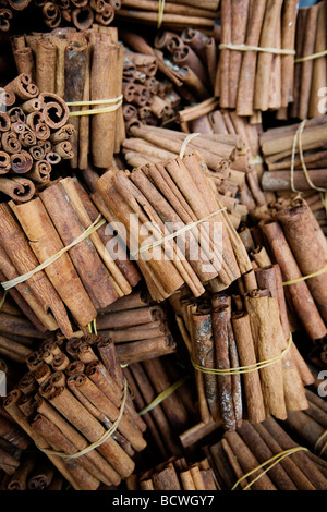 Les bâtons de cannelle sur l'affichage à une étroite ruelle du marché (souk souk) ou dans la vieille ville (médina) de Marrakech, Maroc. Banque D'Images