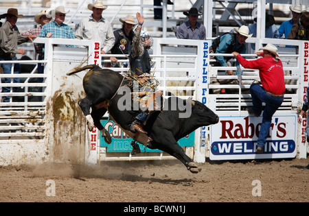 La monte de taureau à la 90e concours annuel du Black Hills Roundup rodeo à Belle Fourche, le Dakota du Sud le 4 juillet 2009. Banque D'Images