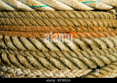 Motif artistique réalisé par des cordes de bateau de pêche enroulées autour d'un cabestan Seahouses Harbour Northumberland UK Banque D'Images