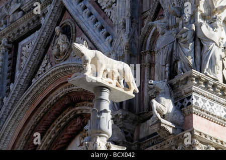 Statue de She-Wolf de Sienne en face de la Cathédrale de Duomo Banque D'Images