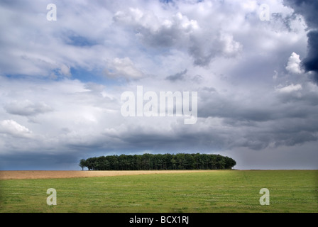 STORM BREWING DANS LE Lincolnshire Wolds. L'Angleterre. UK Banque D'Images