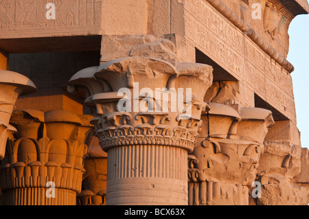 L'Egypte Kom Ombo Temple libre des colonnes papyrus holding up roof Banque D'Images