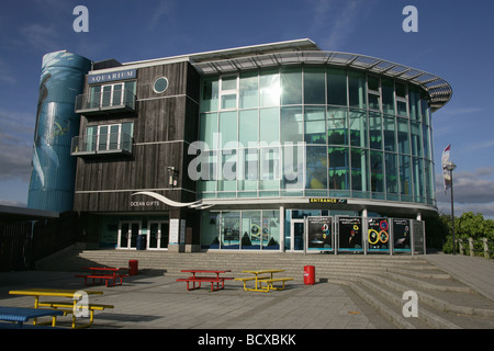 Ville de Plymouth, en Angleterre. Plymouth's National Marine Aquarium à Coxside. Banque D'Images