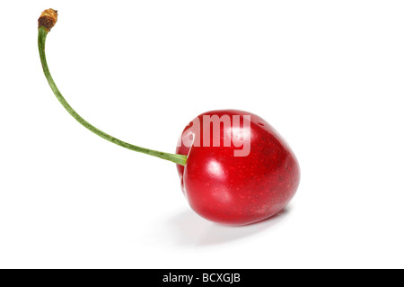 Sweet Cherry isolated on white Banque D'Images