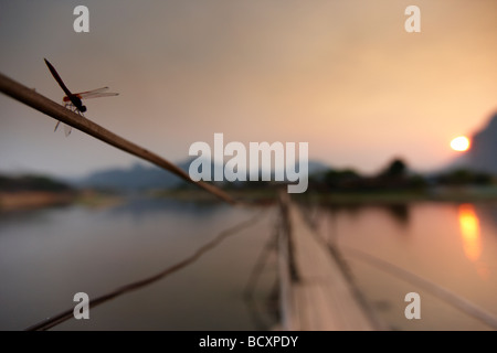 Une libellule sur le pont sur la rivière Nam Song à Vang Vieng, Laos, au coucher du soleil Banque D'Images