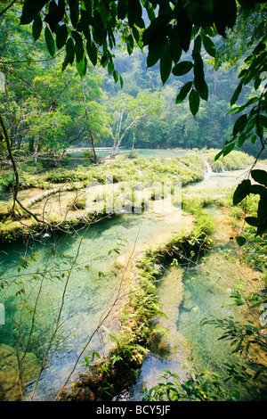 Les piscines calcaires et de superbes de Semuc Champey au Guatemala Banque D'Images