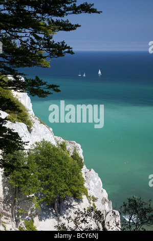 Møns Klint falaises de craie, l'île de Møn, Danemark, Europe Banque D'Images