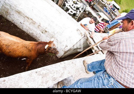 Corde traditionnelle Féria de l'île de Terceira aux Açores Banque D'Images