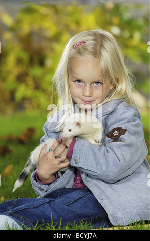 Putois domestique sur les bras d'une fille / Mustela putorius furo f. Banque D'Images