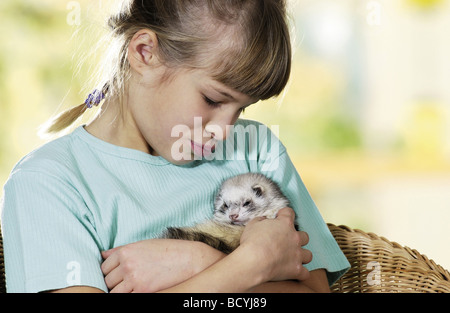 Girl holding polecat domestique sur les armes / Mustela putorius furo f. Banque D'Images