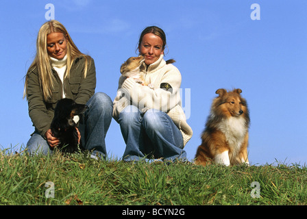Shetland Sheepdog , chiot teckel et avec deux femmes Banque D'Images