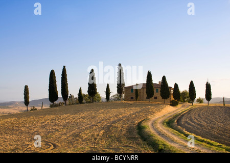 Golden Hour Over Villa près de Pienza, avec des cyprès emblématiques et des collines toscanes vallonnées, Toscane, Italie. Banque D'Images