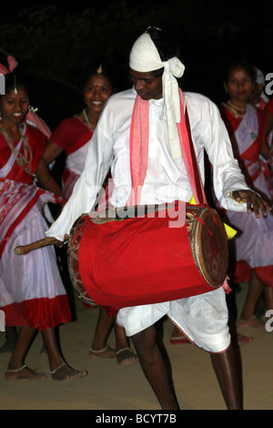 Batteur d'un groupe de danse tribu Thé Assam en Inde, de l'État Banque D'Images