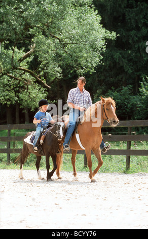 Poney gallois et cheval Aegidienberger avec des coureurs dans un paddock Banque D'Images