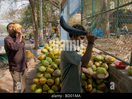 Un man chopping coco pour boire en Inde Banque D'Images