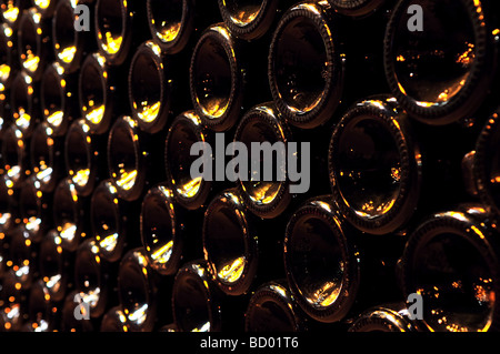 Grande pile de bouteille de vin à fond dans l'winery Banque D'Images