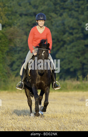 Jeune femme à poney allemand Banque D'Images