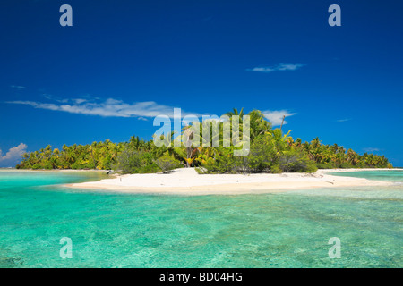 Plage à Rangiroa, Tuamotu, Polynésie Française Banque D'Images