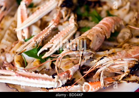 Crevettes grillé et salade de seiches Banque D'Images