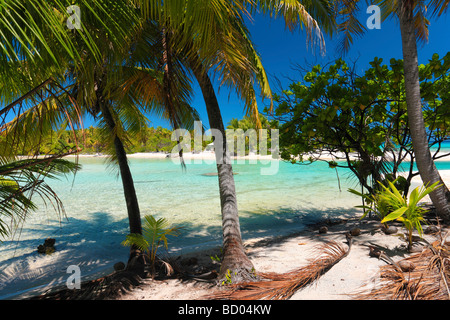 Plage à Rangiroa, Tuamotu, Polynésie Française Banque D'Images