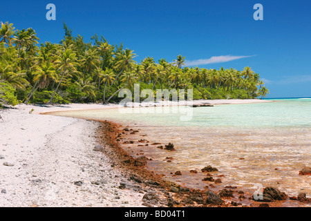 Plage à Rangiroa, Tuamotu, Polynésie Française Banque D'Images