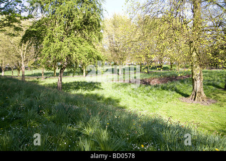 People's Park, dans la région de Pery Square, est le principal parc dans la ville de Limerick, dans le comté de Limerick Irlande Banque D'Images