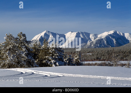 Chaîne côtière, Région de la Côte Cariboo Chilcotin, en Colombie-Britannique, Colombie-Britannique, Canada - Côte Ouest, Neige de l'hiver Banque D'Images