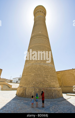 Dans l'Ouzbékistan Boukhara Minaret Kolon Banque D'Images