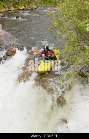 Les kayakistes dans creek boat de kayaks rapides sur Clear Creek, Colorado Empire ci-dessus Banque D'Images