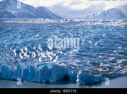 Des escarpements du Glacier Grey dans le Parc National Torres del Paine, Patagonie, Puerto Natales, Región de Magallanes y de la Antart Banque D'Images