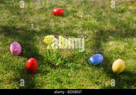 Les oeufs de Pâques, les fleurs de printemps dans l'herbe Banque D'Images