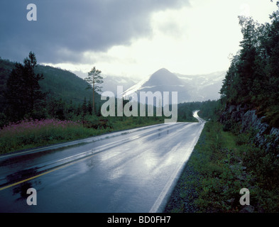 Route humide, Nordland, Norvège. Banque D'Images