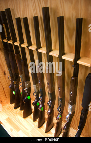 Magasin d'armes à Burlington près de Minot, Dakota du Nord, de nombreux types d'armes sont à vendre ici, y compris les fusils. Banque D'Images