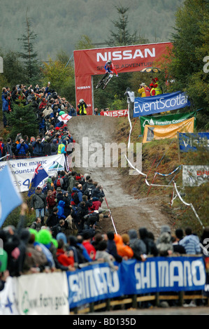 Steve Peat (GBR) tombe dans la zone de but en dépit de ne pas avoir à la selle de vélo de montagne UCI Championnats du monde en Ecosse Banque D'Images