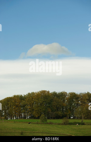 Blue sky over rural pasture Banque D'Images