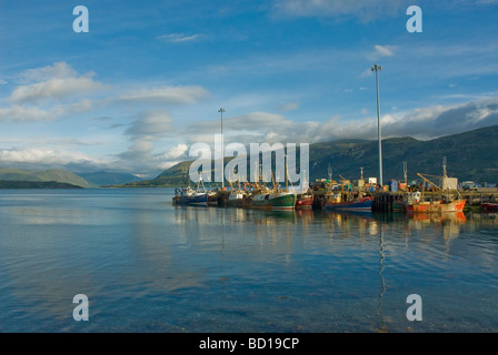 Des bateaux de pêche à l'Harbour Ullapool Ross & Cromarty Highland Ecosse Banque D'Images