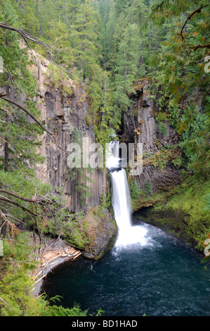 USA Oregon Toketee Falls Banque D'Images