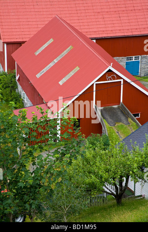 Grange dans Village Geiranger Fjord Norvège Région Nord Geirangerfjord Scandinavie Banque D'Images