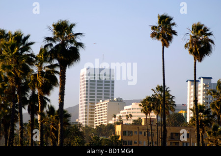 Toits de Santa Monica et de palmiers Banque D'Images