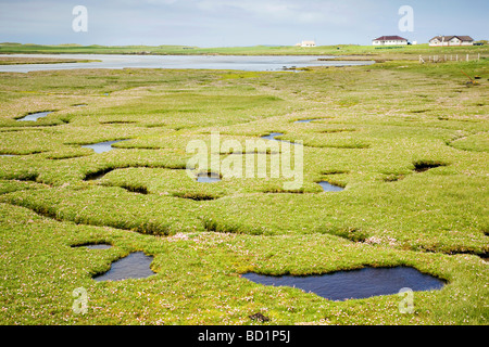 Saltmarsh près de Clachan Sands North Uist sur les îles occidentales de l'Écosse Banque D'Images