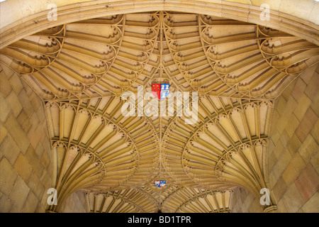 Plafond voûté, Corpus Christi College de Cambridge 2 Banque D'Images