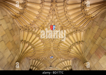 Plafond voûté, Corpus Christi College de Cambridge Banque D'Images