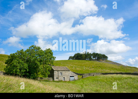 Kirkcarrion tumulus, Middleton-in-Teesdale, County Durham, England UK Banque D'Images