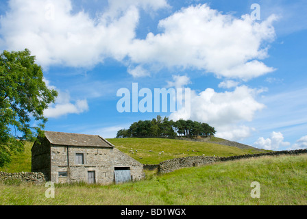 Kirkcarrion tumulus, Middleton-in-Teesdale, County Durham, England UK Banque D'Images