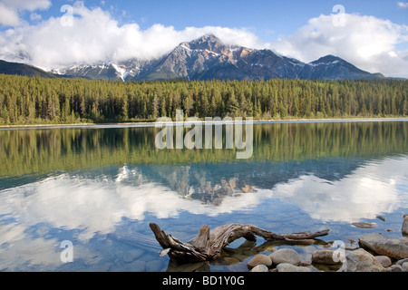 Patricia Lake reflections, Jasper National Park, Alberta, Canada Banque D'Images