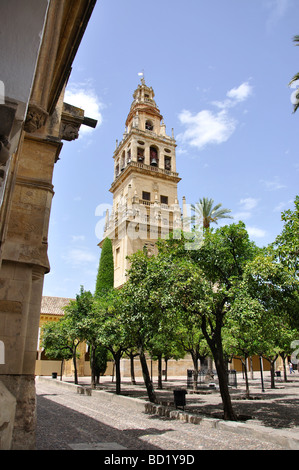 Torre del Alminar de Patio de los Naranjos, La Mezquita de Cordoue, Cordoue, Province, Andalousie, Espagne Banque D'Images