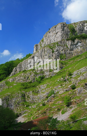 Les imposantes falaises de calcaire dans les gorges de Cheddar, Somerset, England, UK Banque D'Images